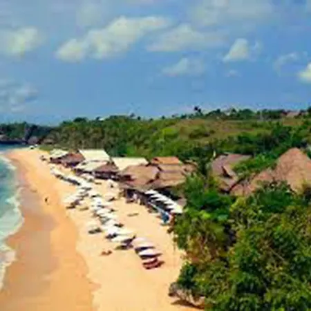 Tropical Guesthouse